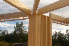 Maison ossature bois individuelle contemporaine ossature bois à toit plat